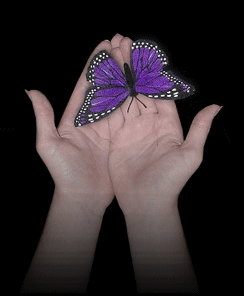 RÃ©sultat de recherche d'images pour "magnifiques images de papillons gifs"